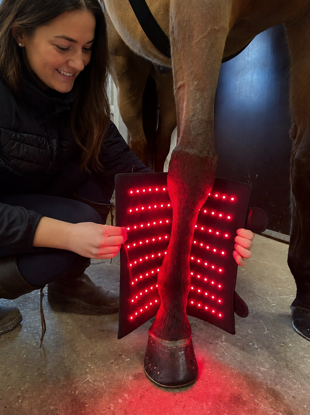 Equi Recovery Pro rödljus terapi för stöd till hästens återhämtning och läkning