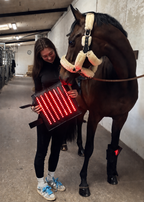 Equi Recovery Pro rödljus terapi för stöd till hästars återhämtning och läkning