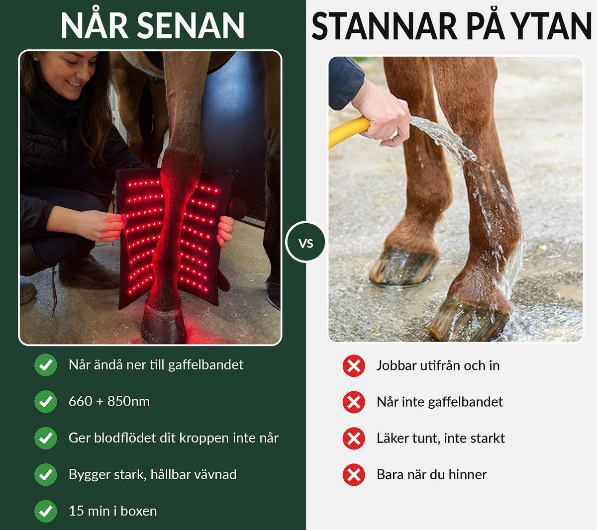 Equi Recovery Pro