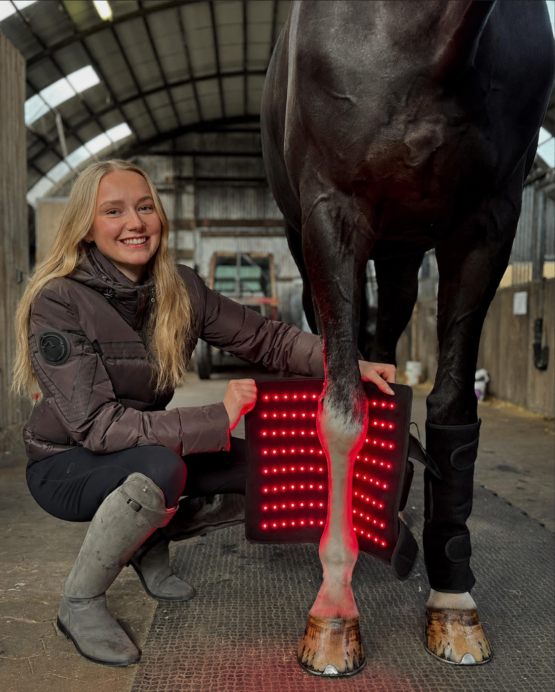 Equi Recovery Pro