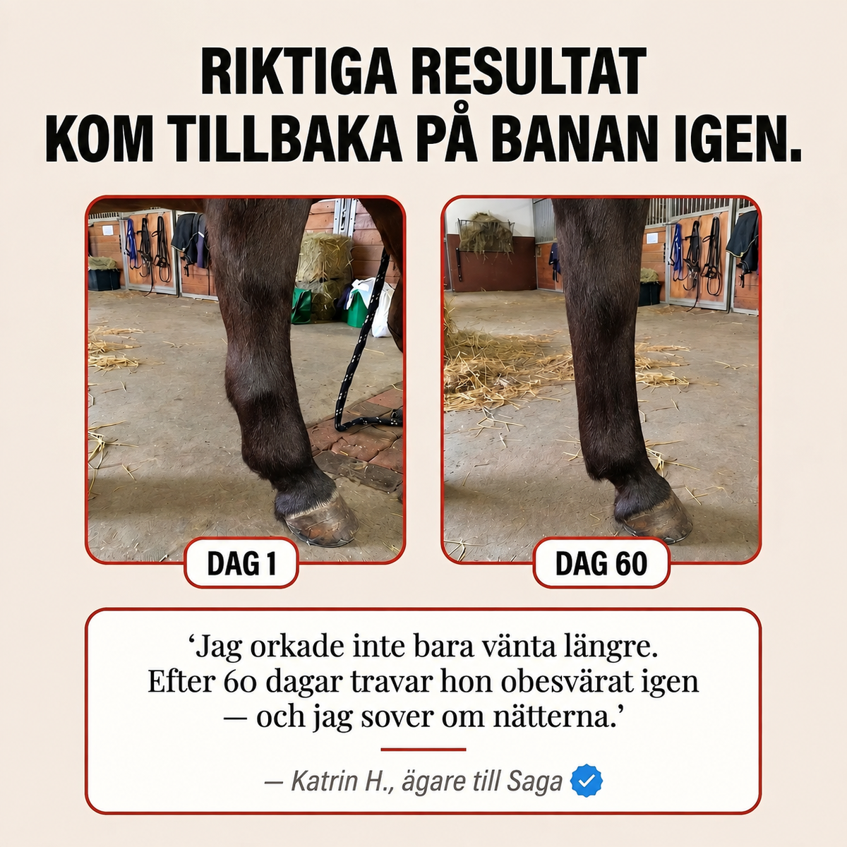 Equi Recovery Pro rödljus terapi för stöd till hästens återhämtning och läkning